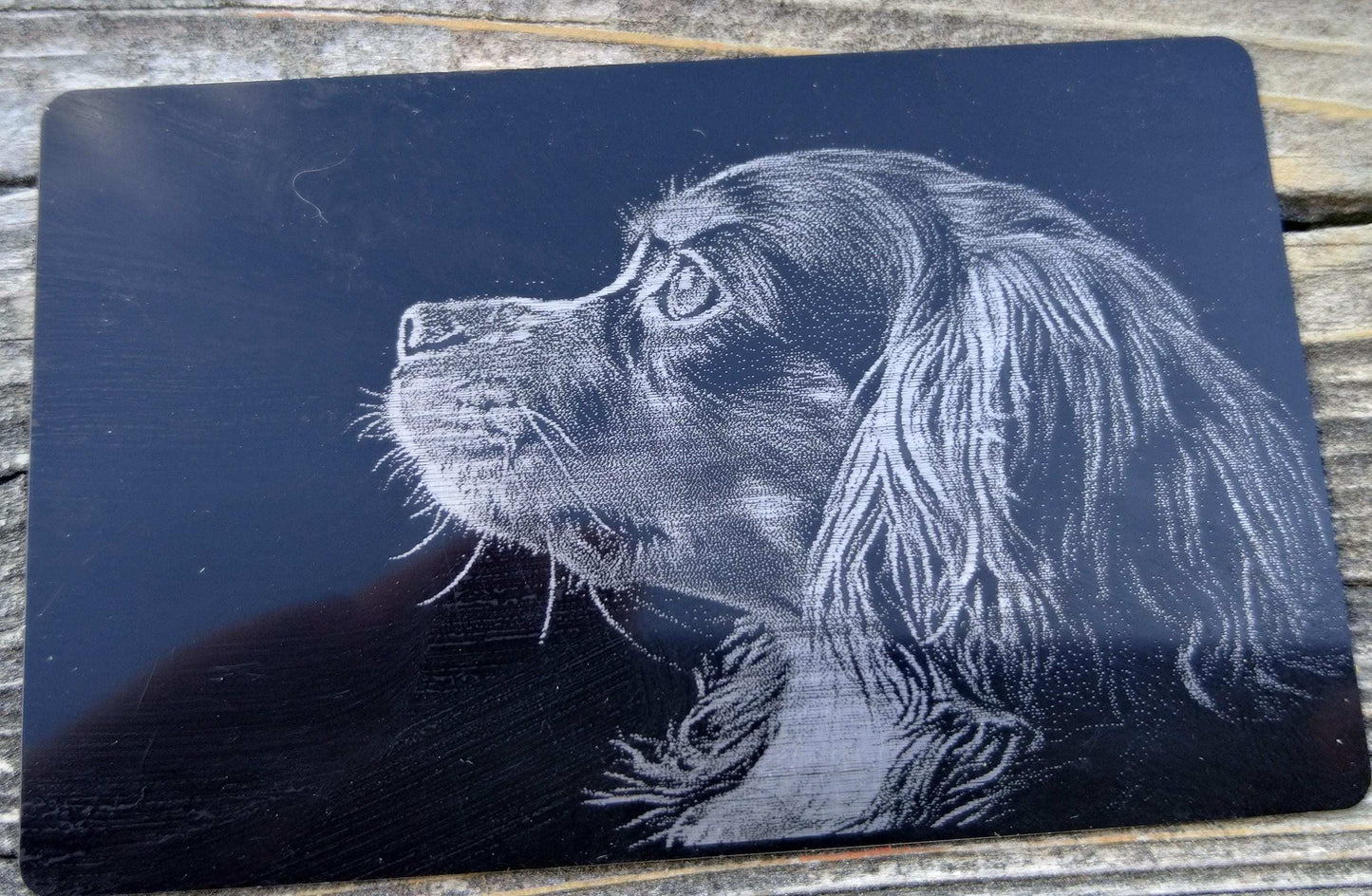 Pet Wallet Gift, Engraved Pet Portrait, Pet Portrait Card, Custom Cat Owner Gift, Dog Portrait Card, Wallet Metal Card, Pet Keepsake Card My Store