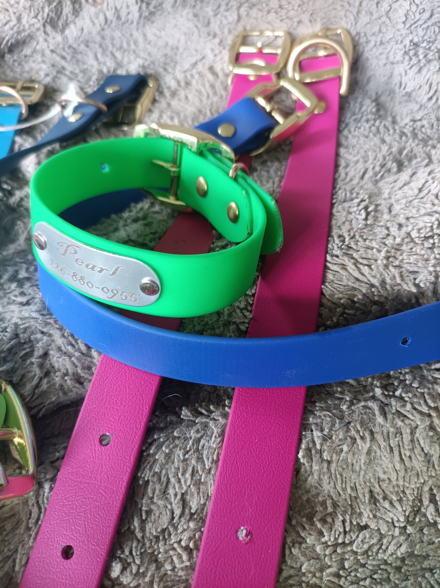 Custom Engraved Biothane Dog Collars Kings Crown Laser Engraving
