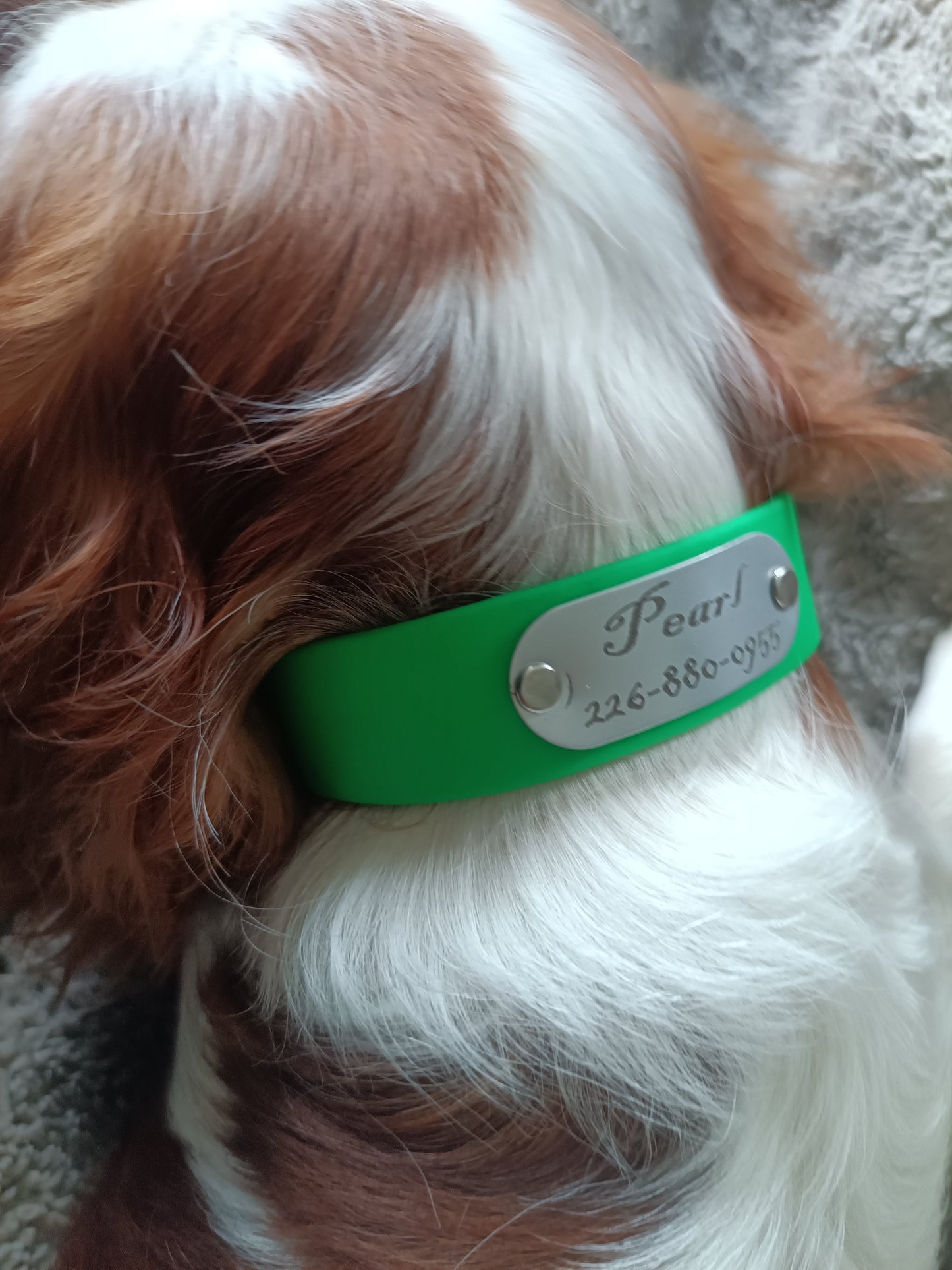 Custom Engraved Biothane Dog Collars Kings Crown Laser Engraving