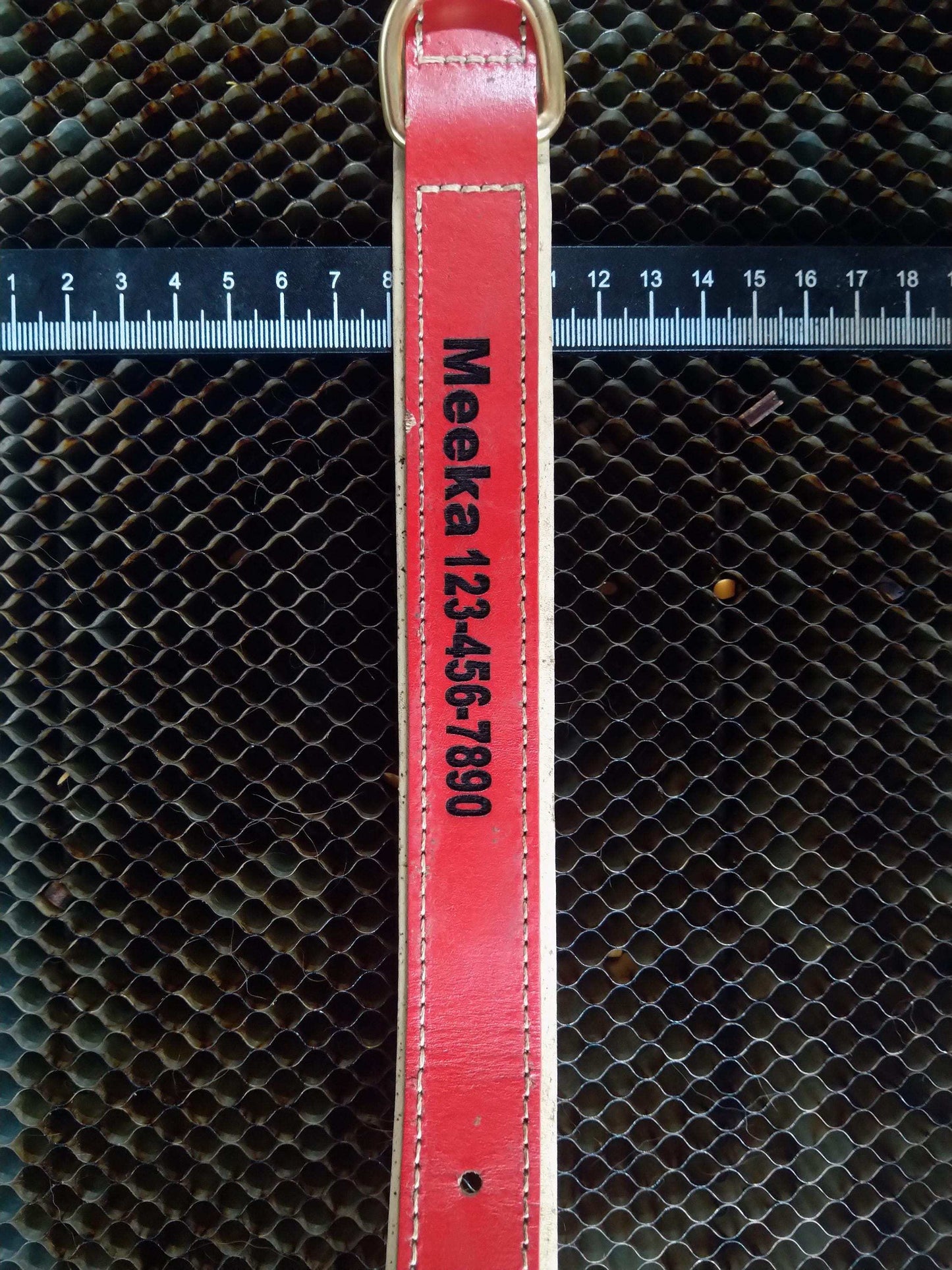 Custom Engraved Leather Dog Collar My Store