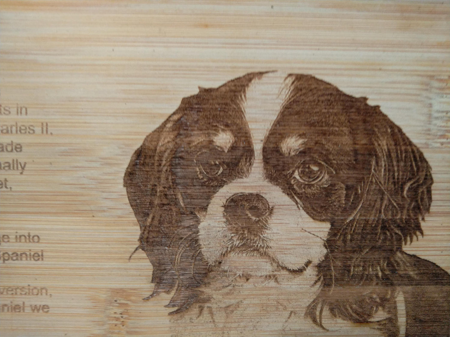 Dog breed History Decorative Serving boards, Dog Breed Cutting Board Gift, Dog Lover Gift My Store