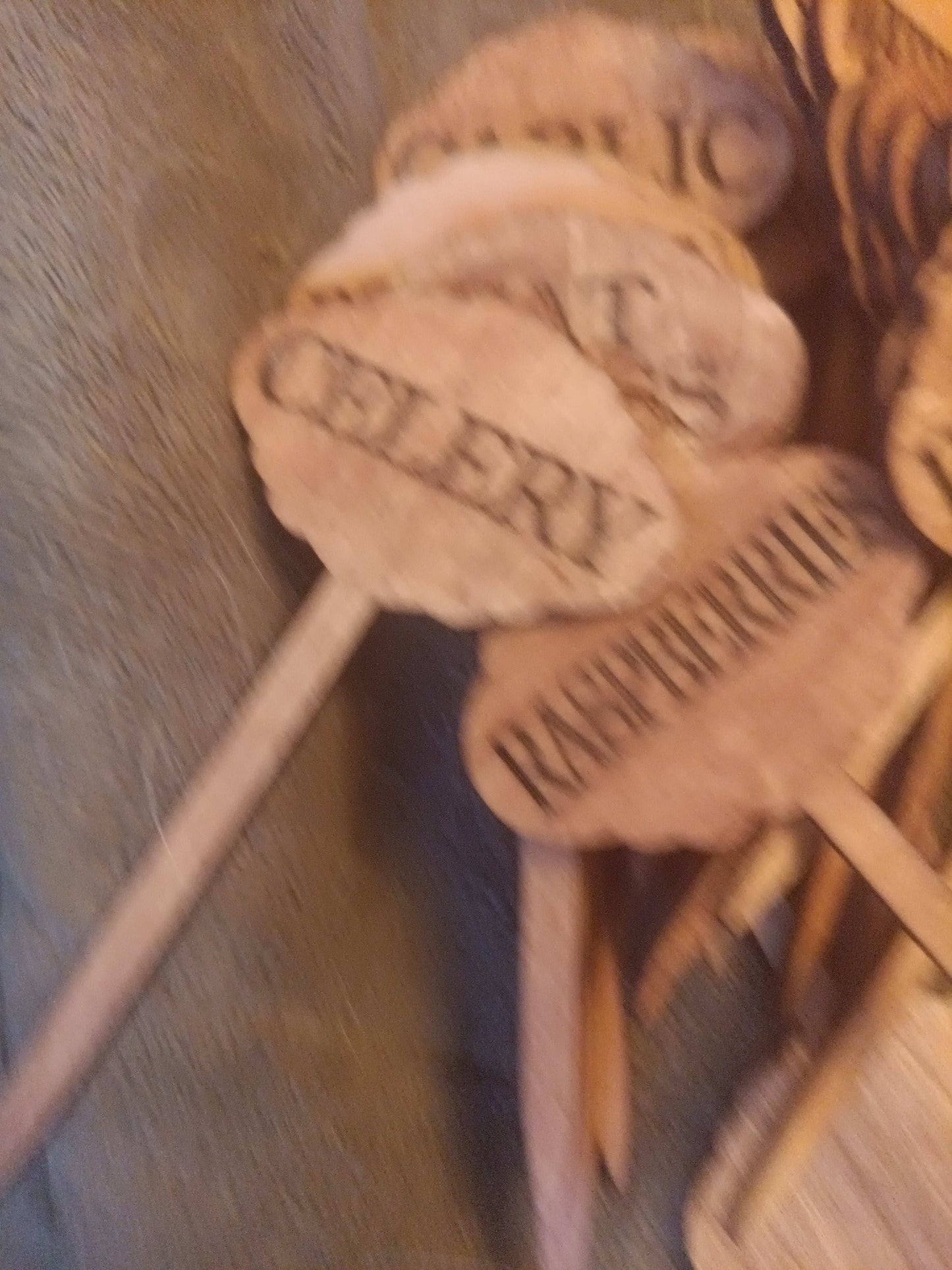 Garden plant name stakes Kings Crown Laser Engraving