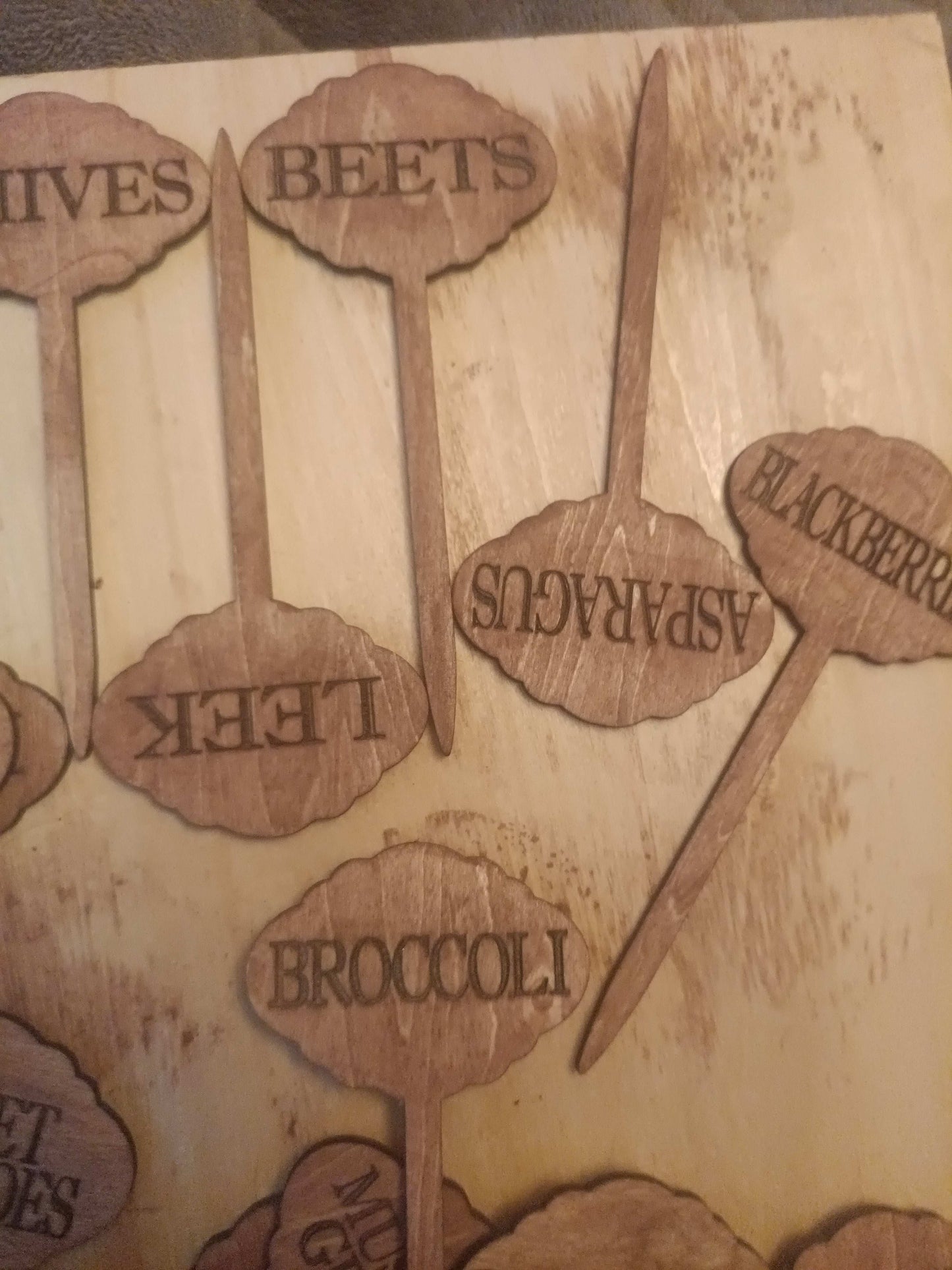 Garden plant name stakes Kings Crown Laser Engraving