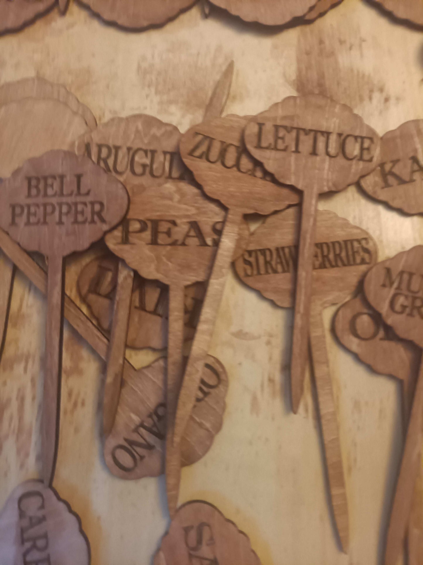 Garden plant name stakes Kings Crown Laser Engraving