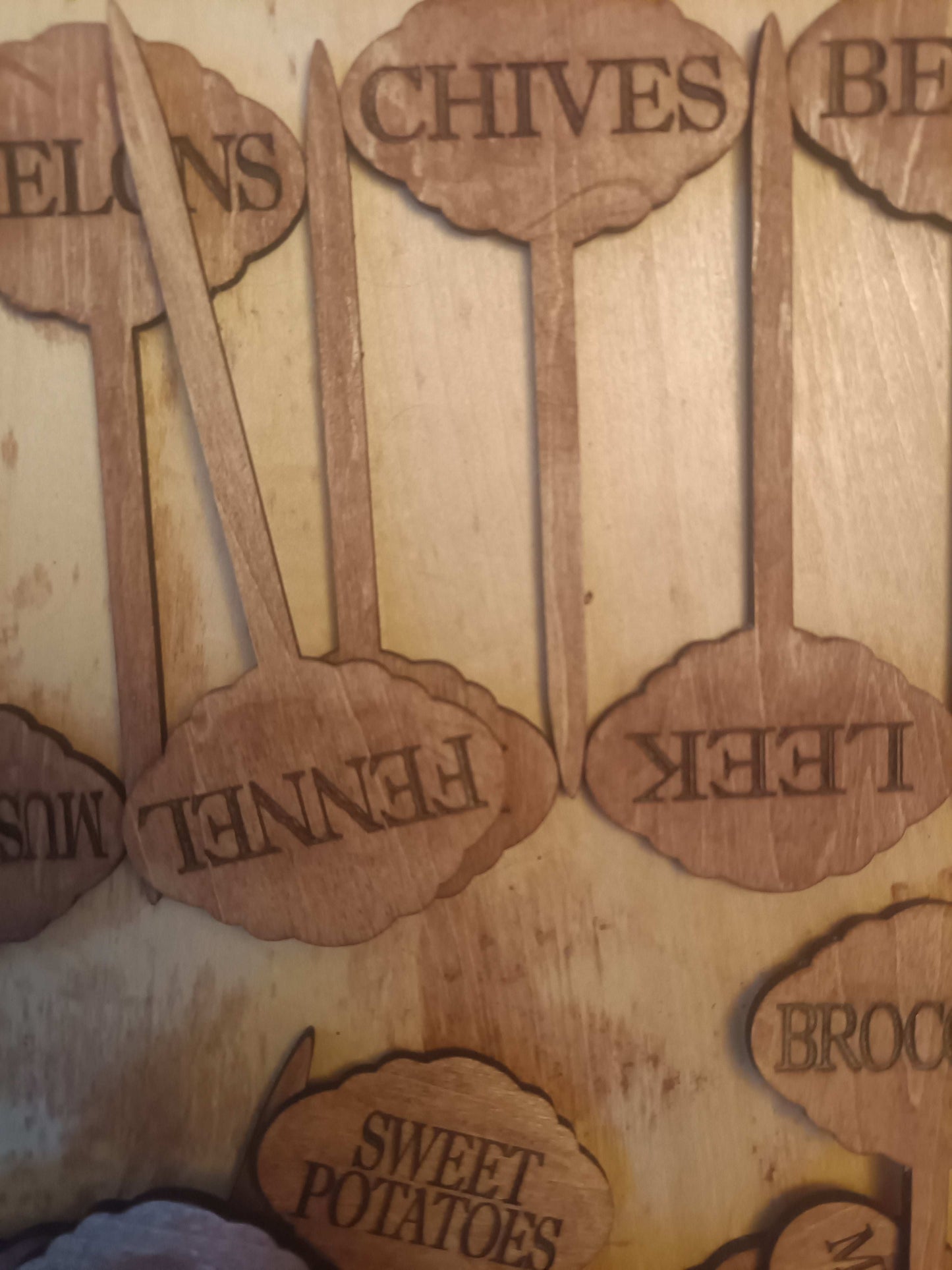 Garden plant name stakes Kings Crown Laser Engraving