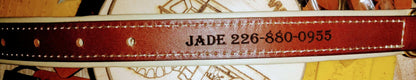Custom Engraved Leather Dog Collar My Store