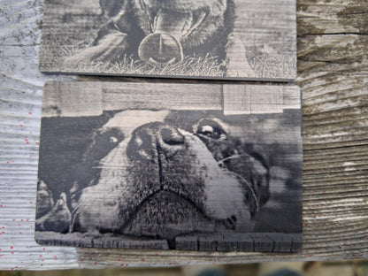 Pet Wallet Gift, Engraved Pet Portrait, Pet Portrait Card, Custom Cat Owner Gift, Dog Portrait Card, Wallet Metal Card, Pet Keepsake Card My Store