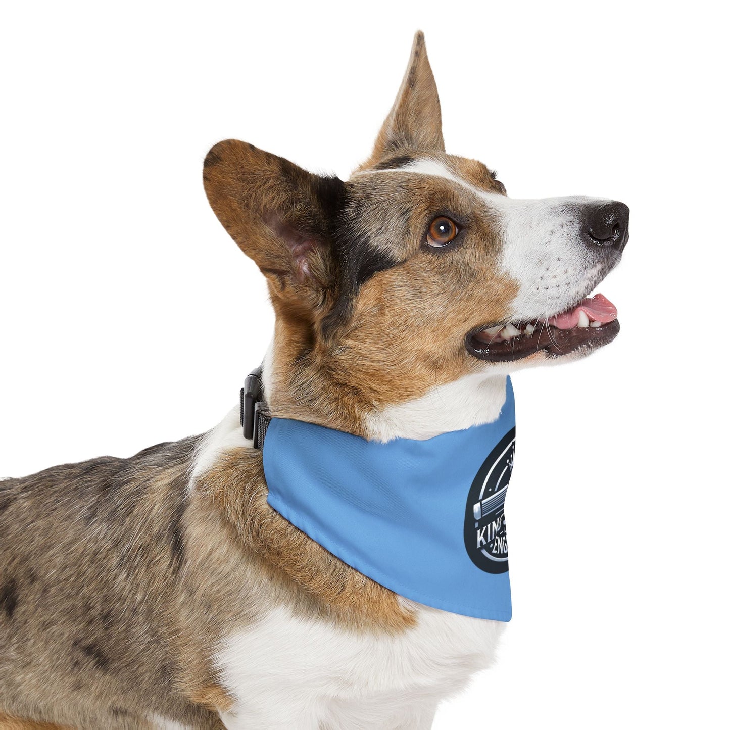 Custom Stylish Pet Bandana Collar for Fashionable Dogs - Perfect for Celebrations, Parties, and Everyday Style, Dog Accessories, Dog Fashion, [...] Printify