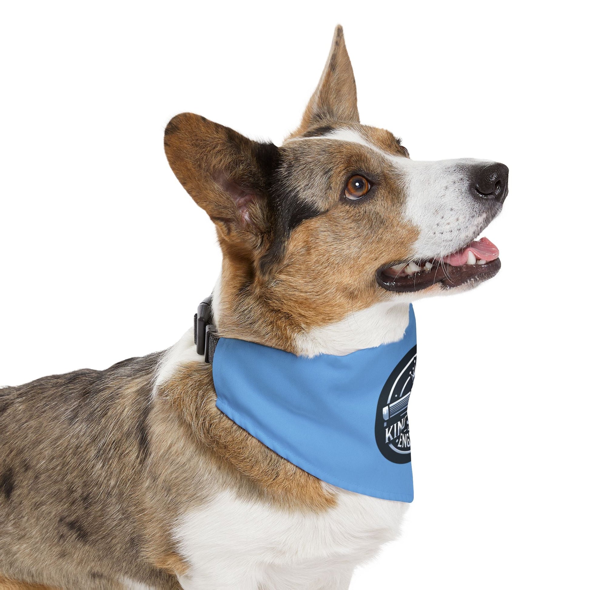Custom Stylish Pet Bandana Collar for Fashionable Dogs - Perfect for Celebrations, Parties, and Everyday Style, Dog Accessories, Dog Fashion, [...] Printify