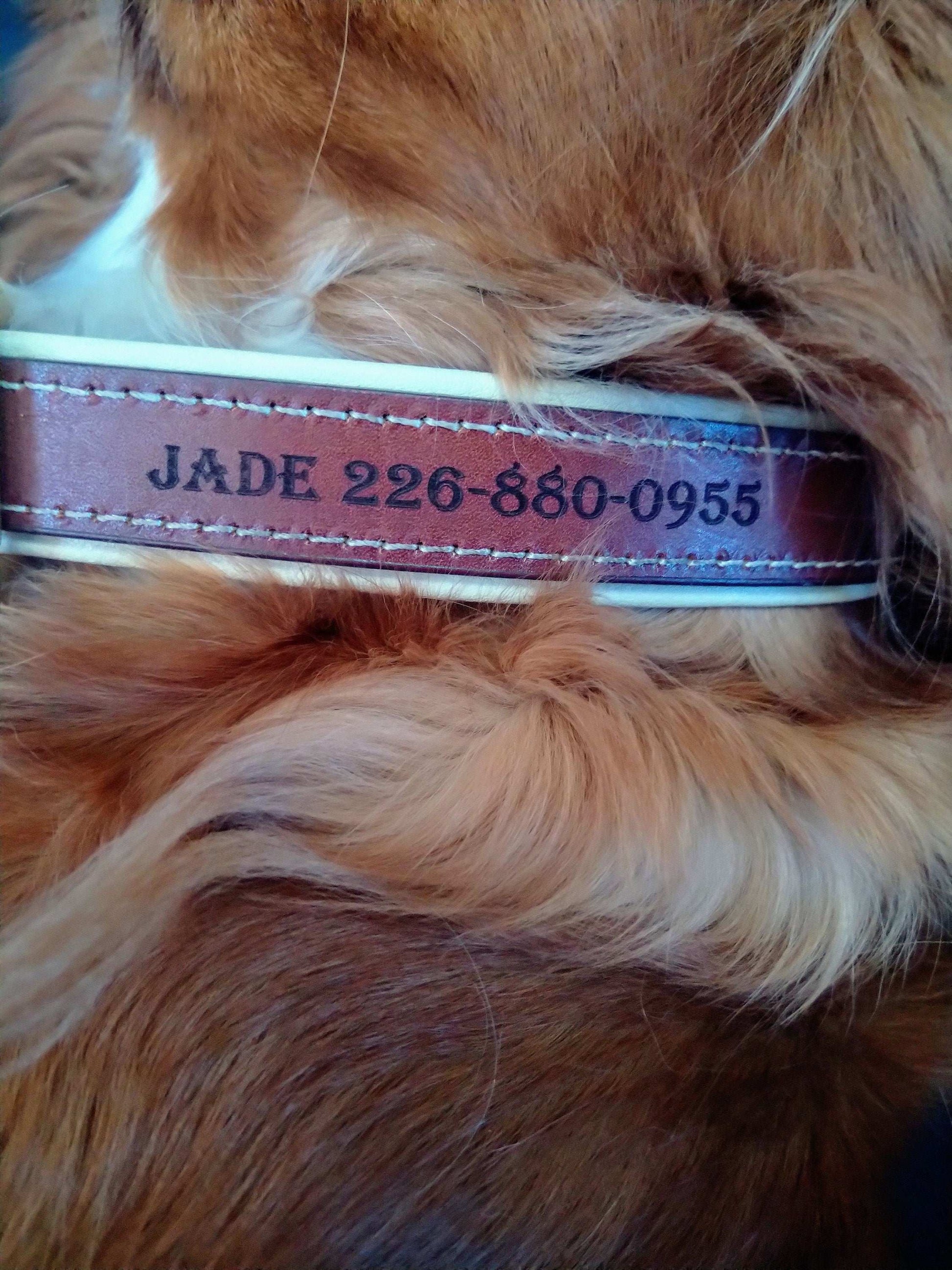 Custom Engraved Leather Dog Collar My Store