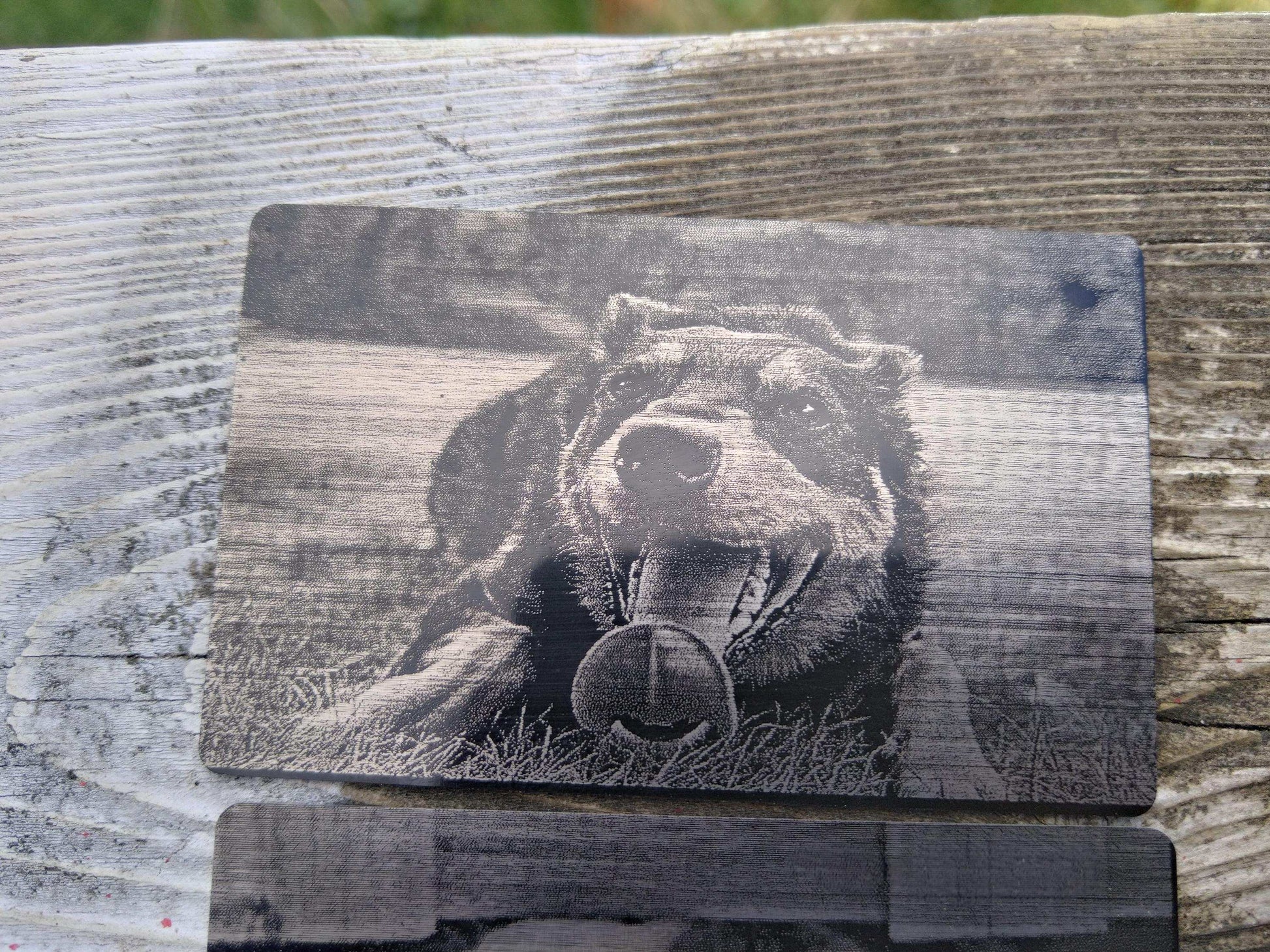 Pet Wallet Gift, Engraved Pet Portrait, Pet Portrait Card, Custom Cat Owner Gift, Dog Portrait Card, Wallet Metal Card, Pet Keepsake Card My Store