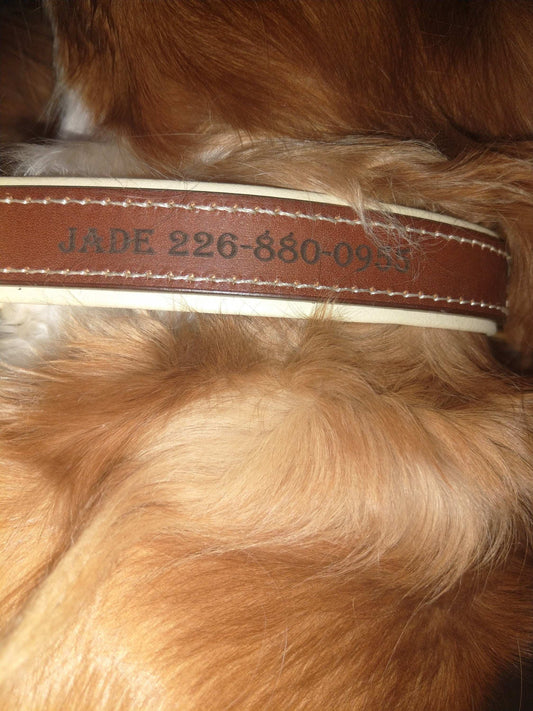 Custom Engraved Leather Dog Collar My Store