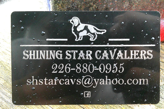 Engraved Business Card, Metal Business Card, QR Code Business Card, Premium Business Card, Custom Professional Business Cards, Engraved QR My Store