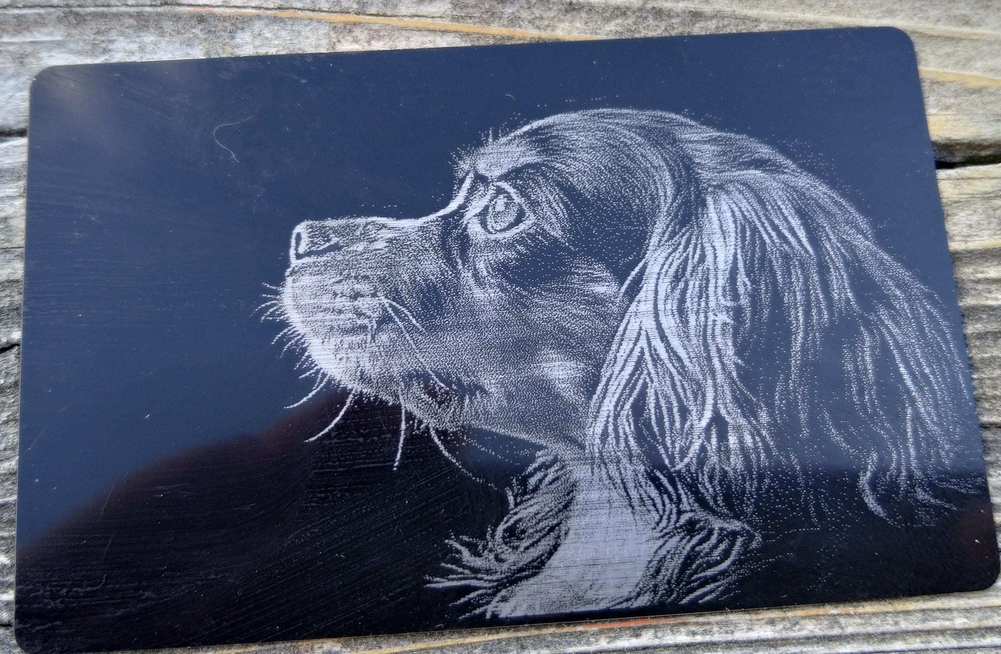 Pet Wallet Gift, Engraved Pet Portrait, Pet Portrait Card, Custom Cat Owner Gift, Dog Portrait Card, Wallet Metal Card, Pet Keepsake Card My Store