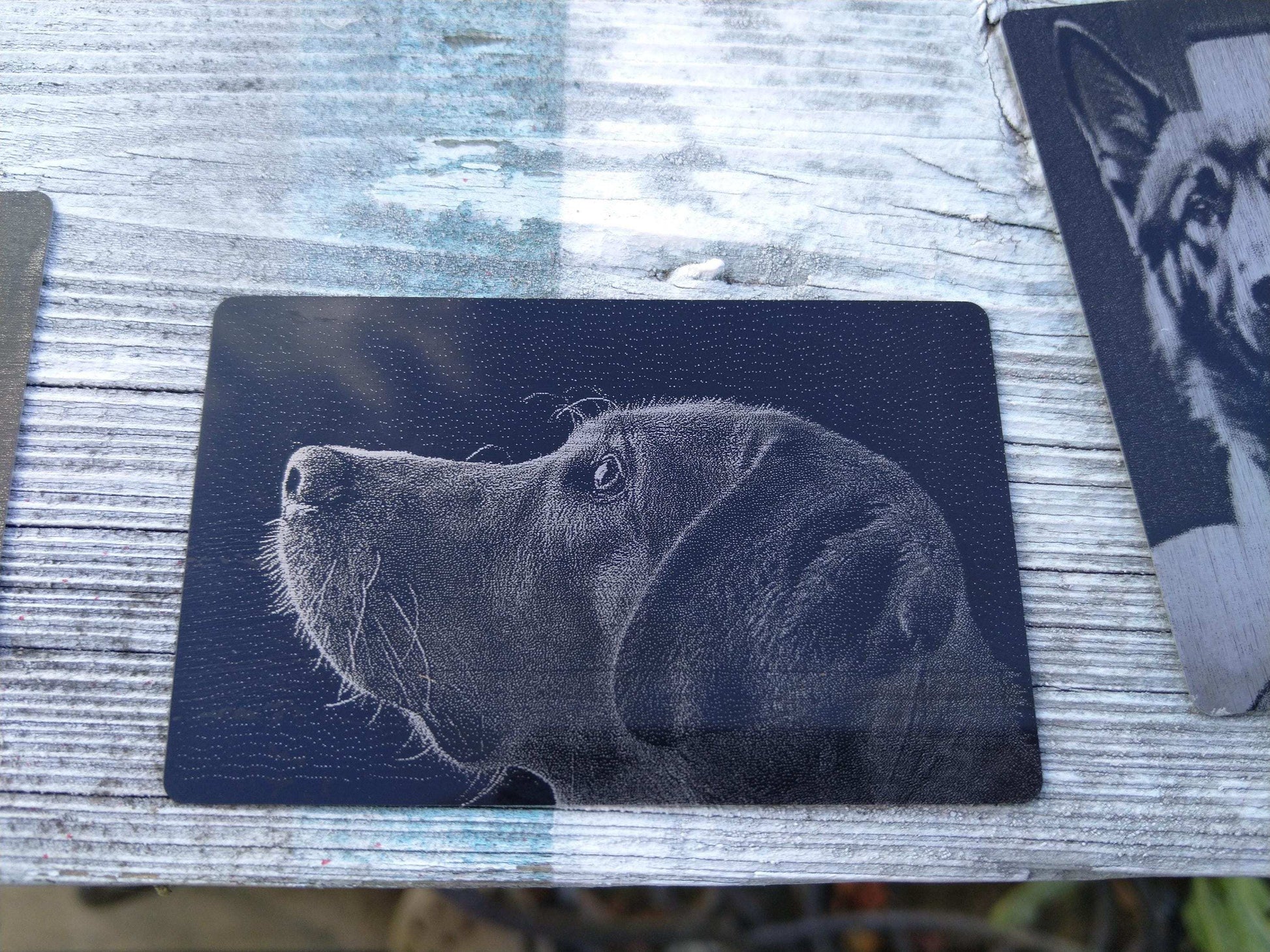Pet Wallet Gift, Engraved Pet Portrait, Pet Portrait Card, Custom Cat Owner Gift, Dog Portrait Card, Wallet Metal Card, Pet Keepsake Card My Store