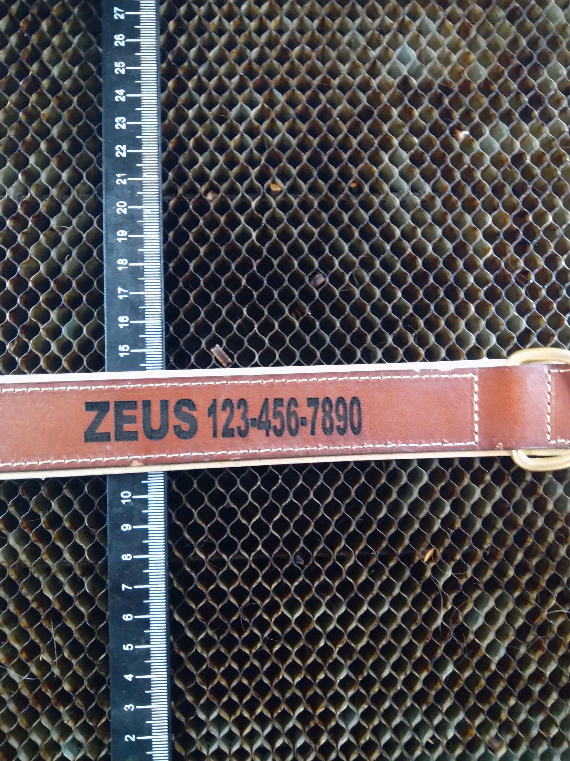 Custom Engraved Leather Dog Collar My Store