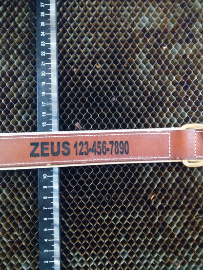 Custom Engraved Leather Dog Collar My Store