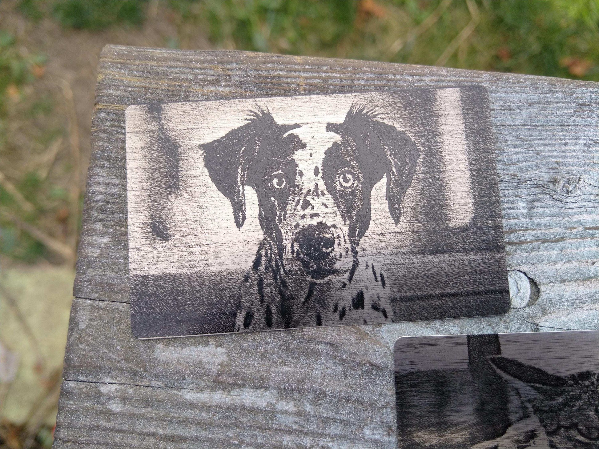 Pet Wallet Gift, Engraved Pet Portrait, Pet Portrait Card, Custom Cat Owner Gift, Dog Portrait Card, Wallet Metal Card, Pet Keepsake Card My Store