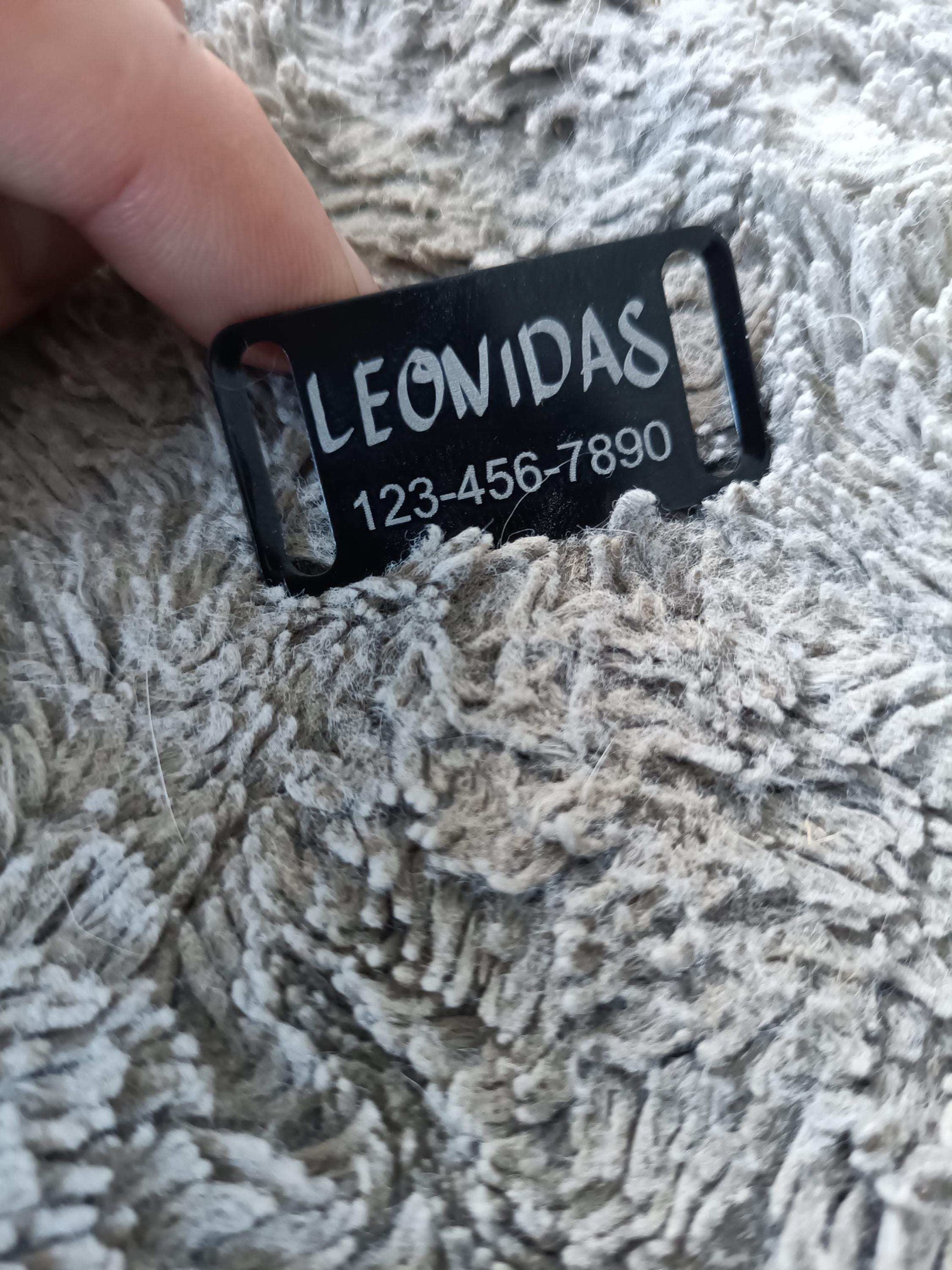 Personalized Slide on Metal dog tags My Store