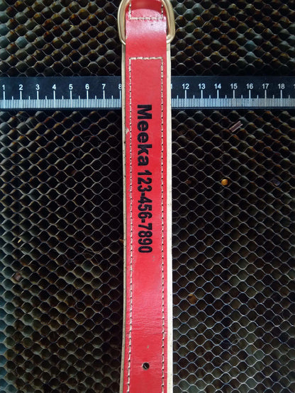 Custom Engraved Leather Dog Collar My Store
