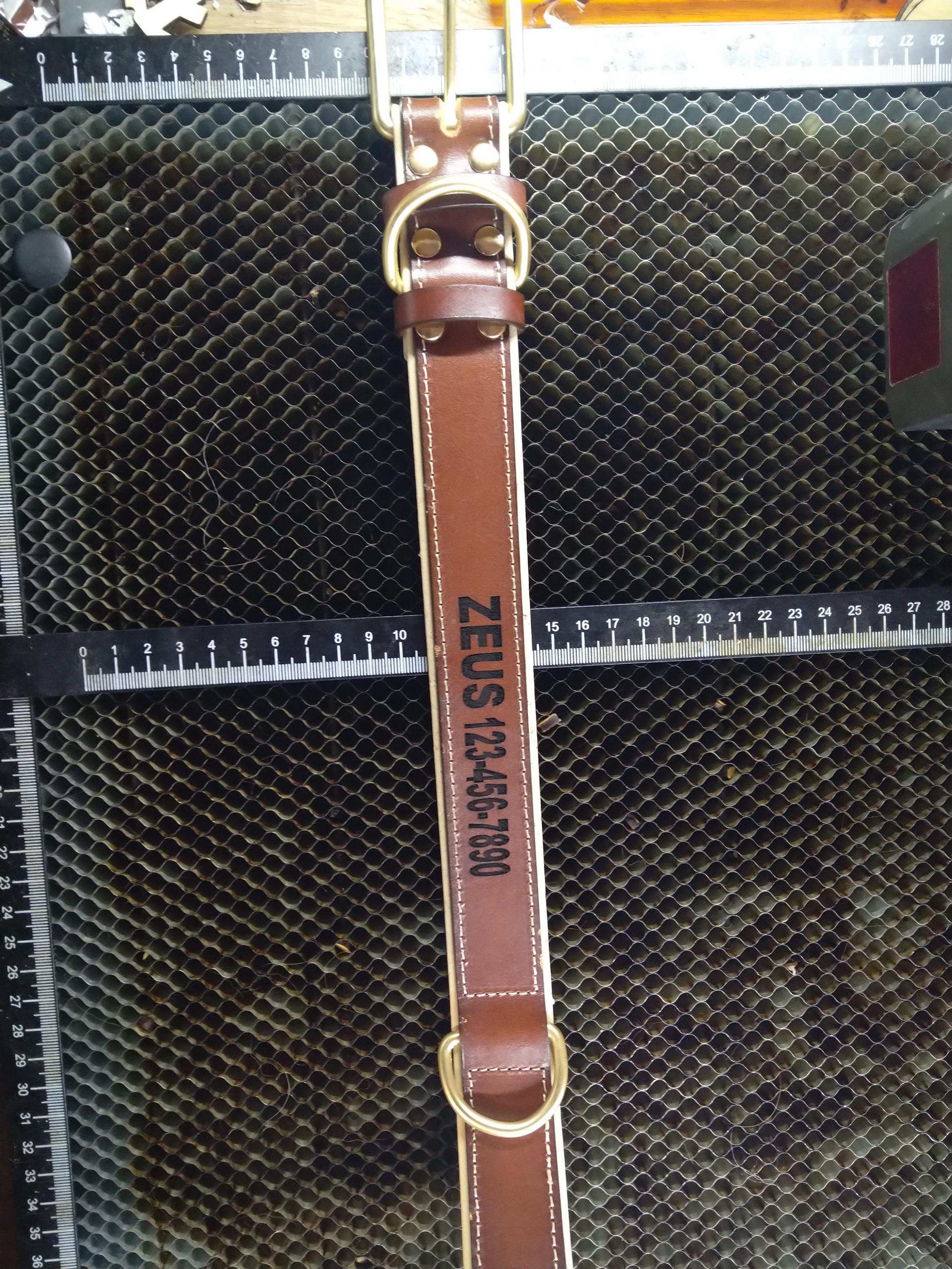 Custom Engraved Leather Dog Collar My Store