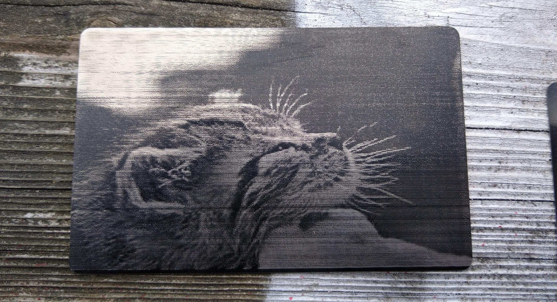 Pet Wallet Gift, Engraved Pet Portrait, Pet Portrait Card, Custom Cat Owner Gift, Dog Portrait Card, Wallet Metal Card, Pet Keepsake Card My Store